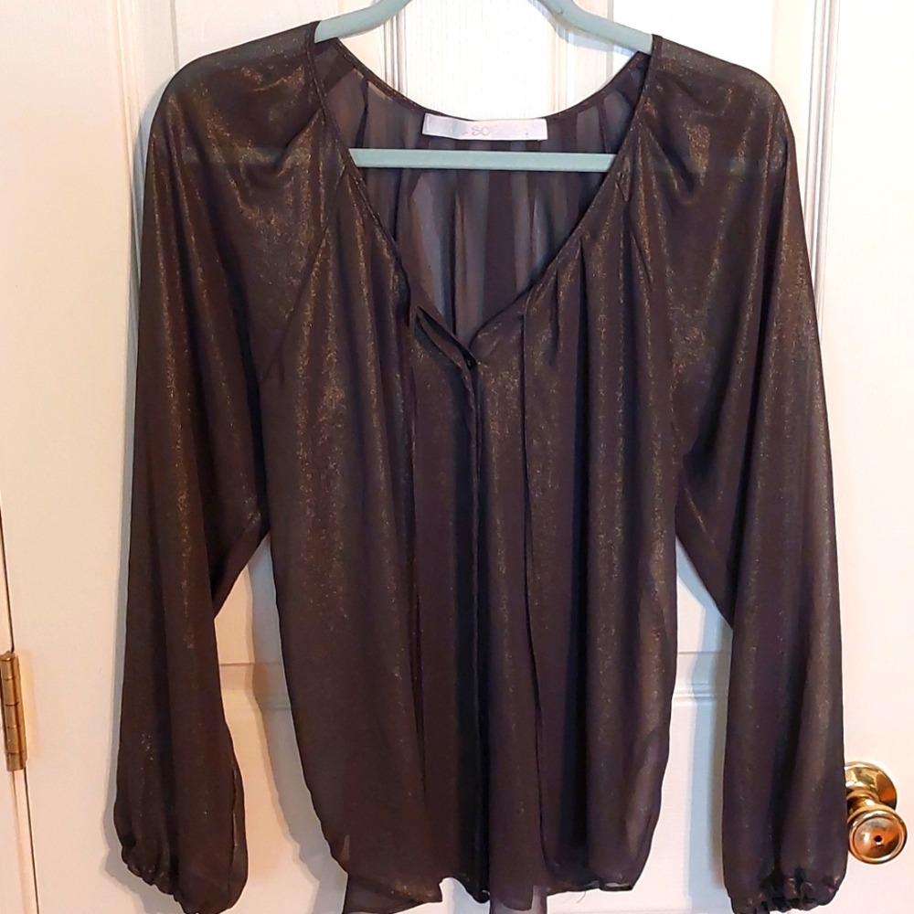 Lola and Sophie Sparkly Sheer Blouse